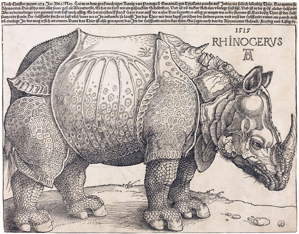 Альбрехт Дюрера, Носорог, гравюра на дереве, 1515