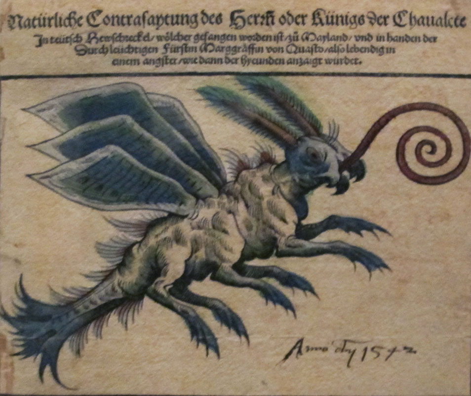 Саранча, гравюра, 1556
