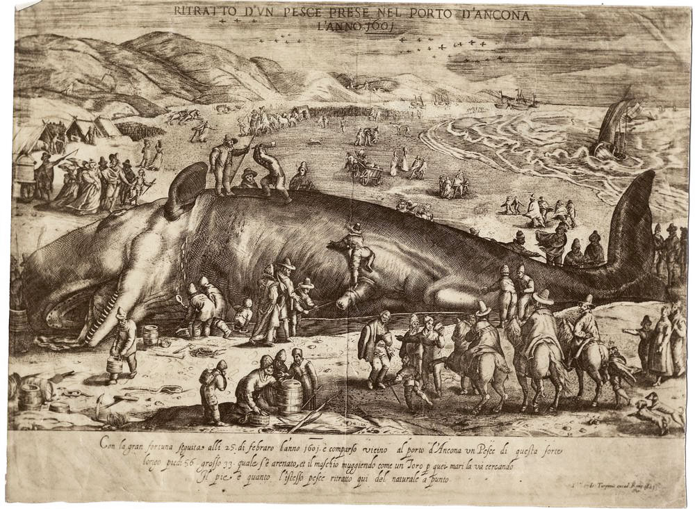 Римская гравюра 1601 года